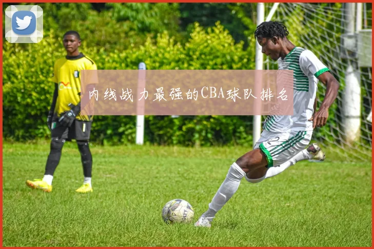 内线战力最强的CBA球队排名