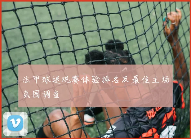 法甲球迷观赛体验排名及最佳主场氛围调查