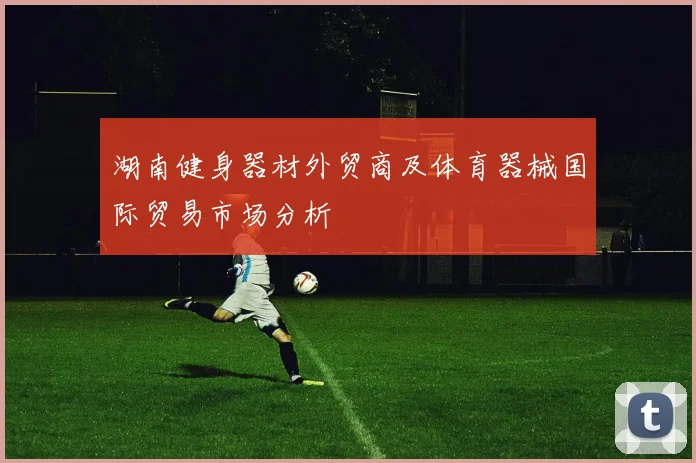 湖南健身器材外贸商及体育器械国际贸易市场分析
