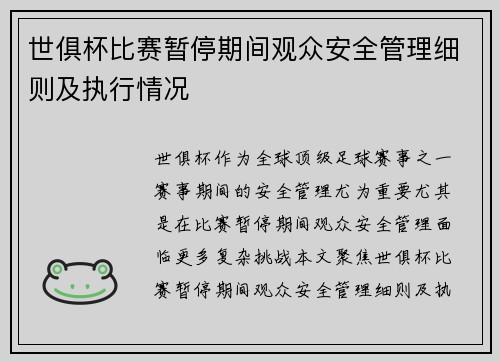 世俱杯比赛暂停期间观众安全管理细则及执行情况